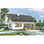 Проєкт будинку 